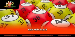 bạch thủ lô là gì