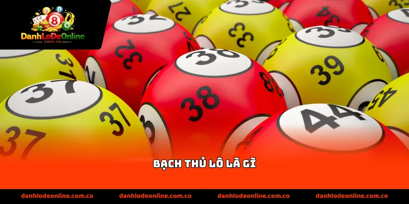 bạch thủ lô là gì